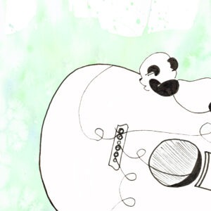 kaart Panda gitaar