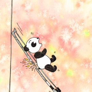 kaart Panda strijkstok